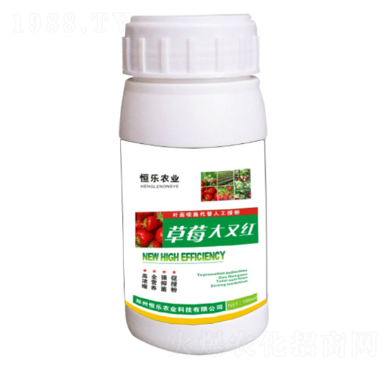 ݮּt-㘷(l)r(nng)I(y)