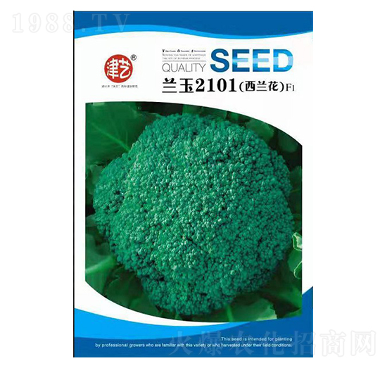 mN-{(ln)2101-Sr(nng)I(y)