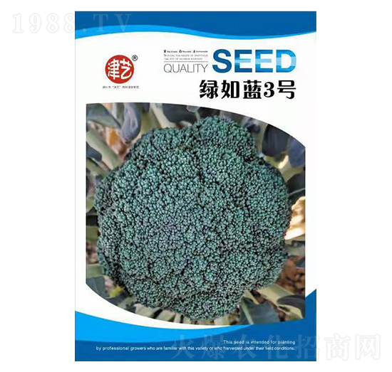 mN-G{(ln)3̖-Sr(nng)I(y)