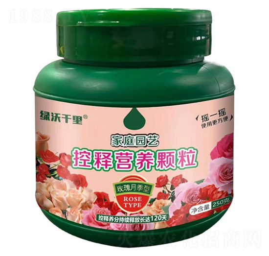 õ¼ͼͥ@ˇጠIB(yng)w-Gǧ-GַʘI(y)