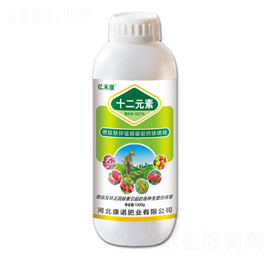 F\i~f}V-ʮԪ-|̿-ZʘI(y)