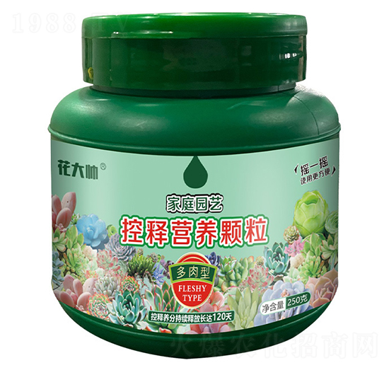 ͼͥ@ˇጠIB(yng)w--GַʘI(y)