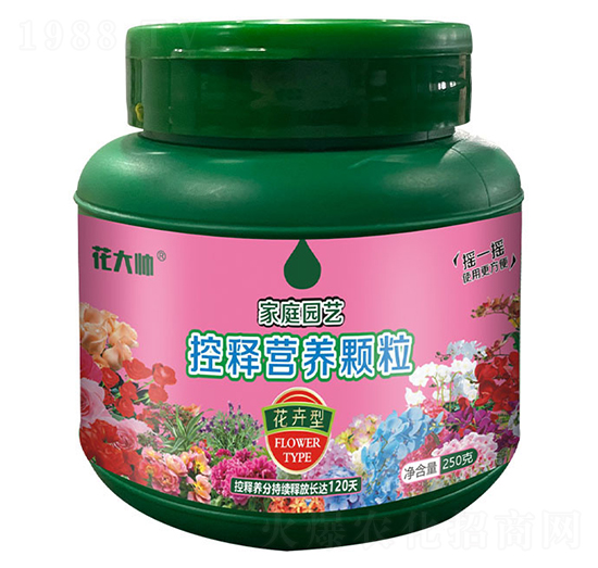 ͼͥ@ˇጠIB(yng)w--GַʘI(y)