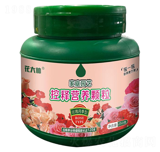 õ¼ͼͥ@ˇጠIB(yng)w--GַʘI(y)