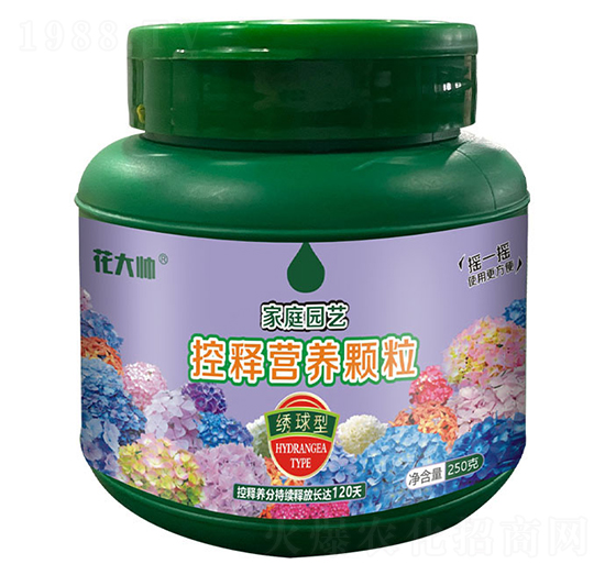 Cͼͥ@ˇጠIB(yng)w--GַʘI(y)