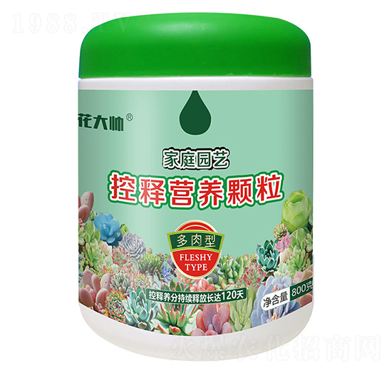 800˶ͼͥ@ˇጠIB(yng)w--GַʘI(y)