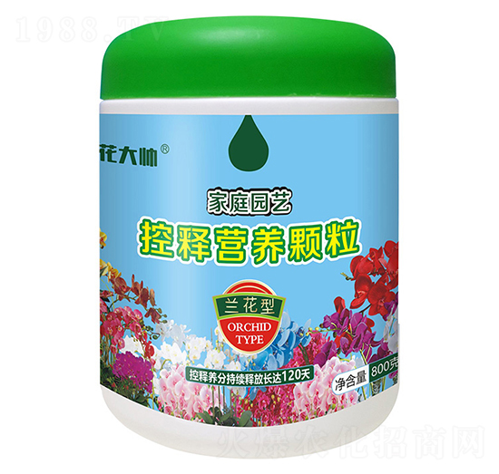 800mͼͥ@ˇጠI(yng)B(yng)w--GַʘI(y)