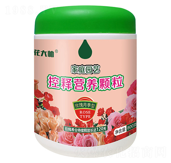 800õ¼ͼͥ@ˇጠIB(yng)w--GַʘI(y)