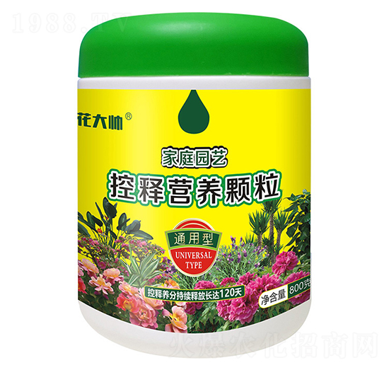 800ͨͼͥ@ˇጠIB(yng)w--GַʘI(y)