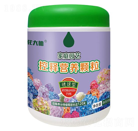 800Cͼͥ@ˇጠI(yng)B(yng)w--GַʘI(y)