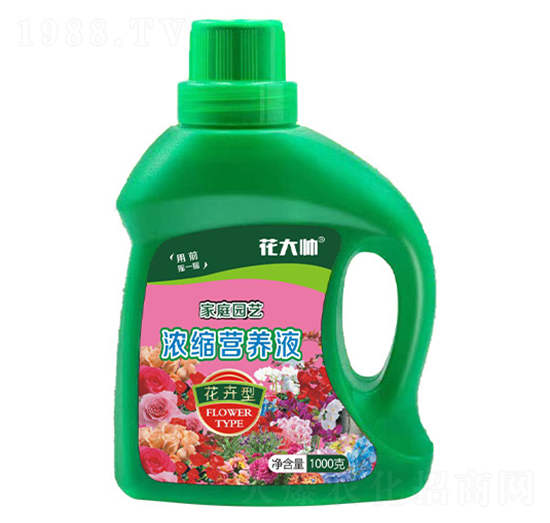 ͼͥ@ˇsI(yng)B(yng)Һ--GַʘI(y)