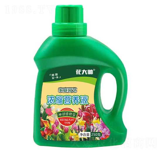 Nֲͼͥ@ˇsIB(yng)Һ--GַʘI(y)