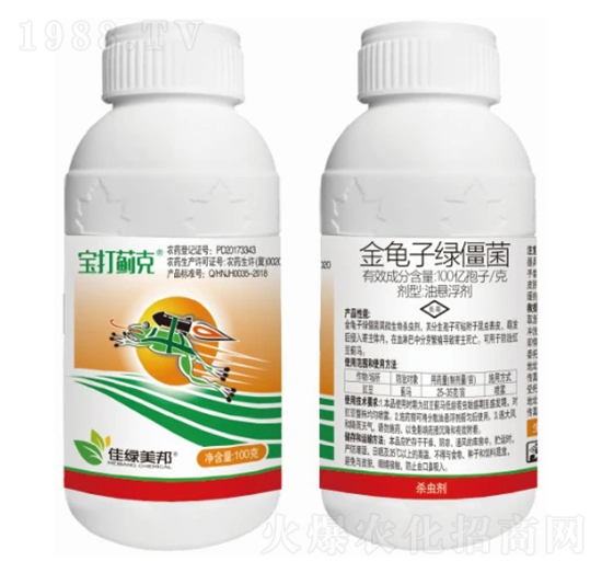 100|/˽ӾG͑Ҹ-E-