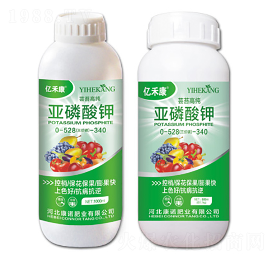 |̦߼0-528-340-|̿-ZʘI(y)