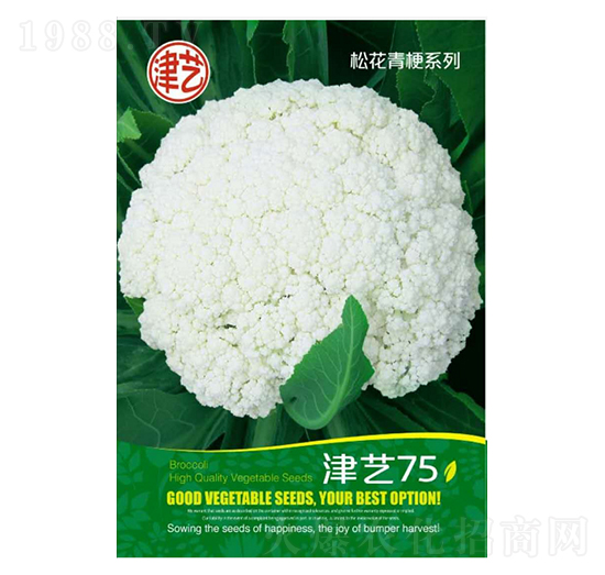 ˷N-ˇ75-Sr(nng)I(y)