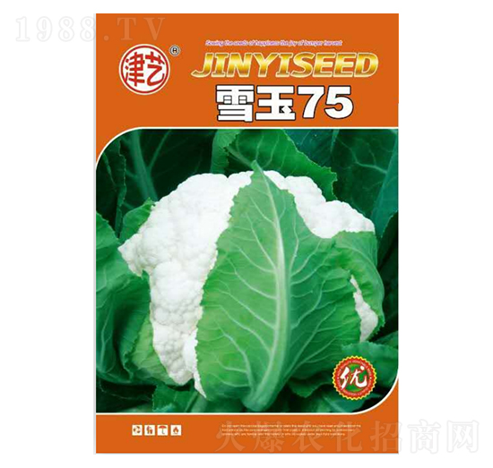 ˷N-ѩ75-Sr(nng)I(y)