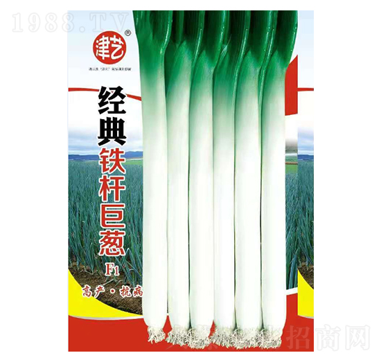 [N-(jng)FU[-Sr(nng)I(y)