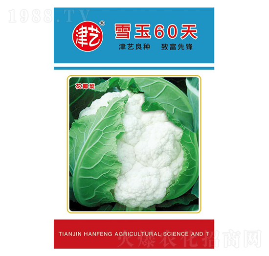 ˷N-ѩ60-Sr(nng)I(y)