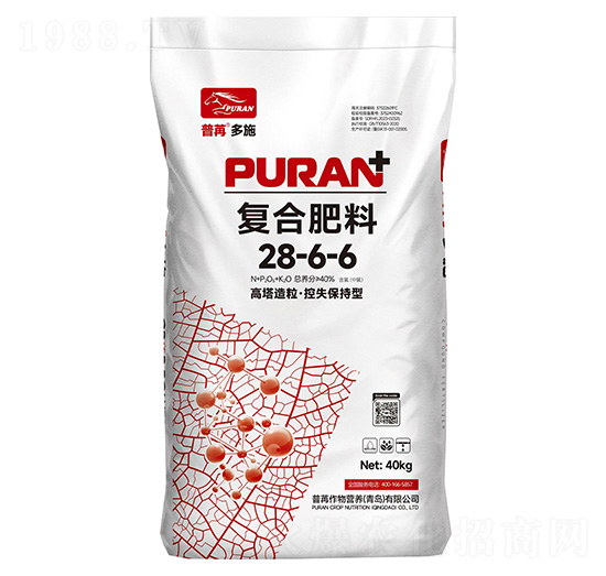 ʧ͏(f)Ϸ28-6-6-۶ʩ