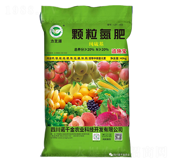 (jng)(j)w-֥Դ-Zǧr(nng)I(y)