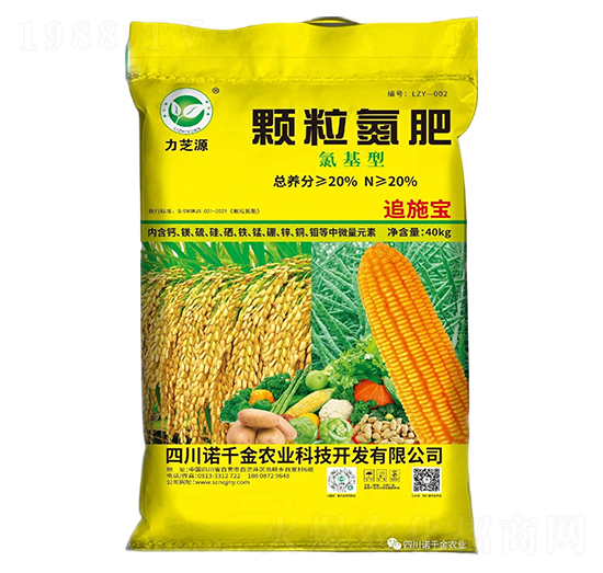 w-֥Դ-Zǧr(nng)I(y)