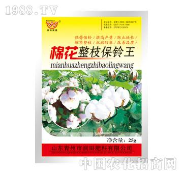 -޻֦?f)? />
                                </div>
                            </div>
                            
                            <style type=