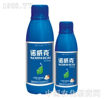 ЙCҺʣ[⌣ã-Zˣƿ