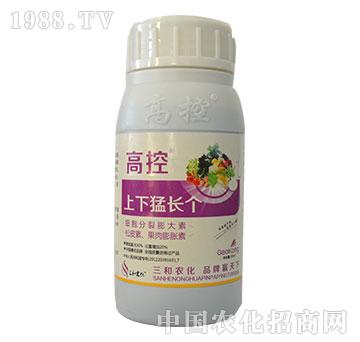 ߿-L(zhng)(g)-r(nng)