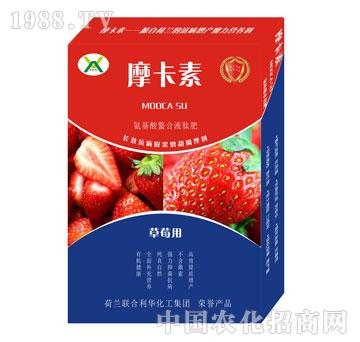 ݮ(zhun)ðҺķ-Ħ-(qing)о(gu)H