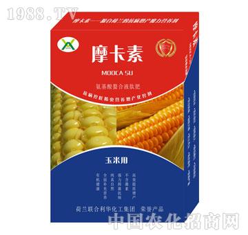 ׌(zhun)ðҺķ-Ħ-(qing)о(gu)H