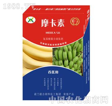 㽶(zhun)ðҺķ-Ħ-(qing)о(gu)H