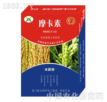 ˮ(zhun)ðҺķ-Ħ-(qing)о(gu)H