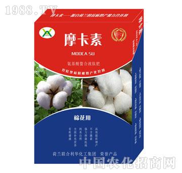 ޻ðҺķ-Ħ-(qing)оH