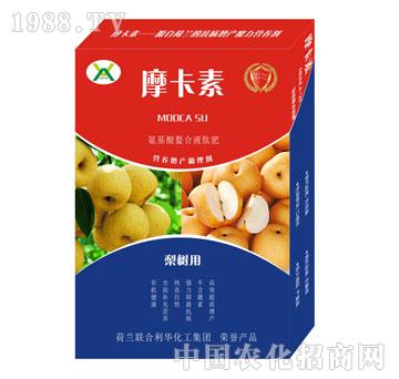 (sh)(zhun)ðҺķ-Ħ-(qing)о(gu)H