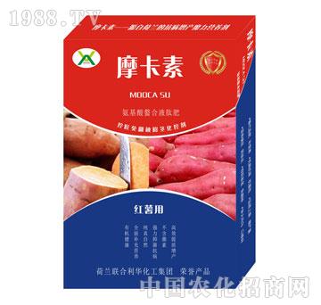 t팣ðҺķ-Ħ-(qing)оH