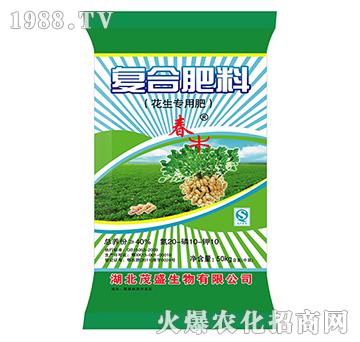 Ï(f)Ϸ20-10-10-ïʢ