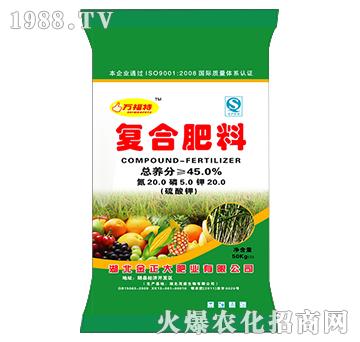 (f)Ϸ20-5-20-f(wn)-ïʢ