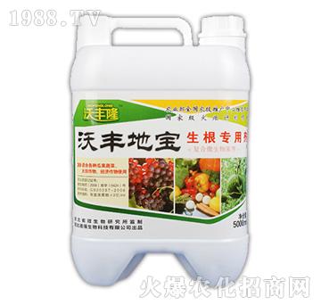 S،(zhun)Ä-S¡-(qing)