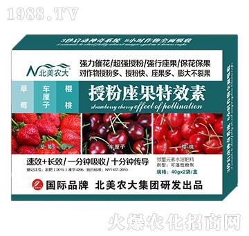 ݮ܇(ch)?yn)ڷЧ?r(nng)