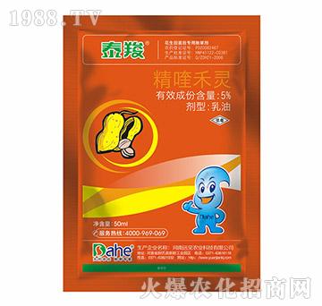 5%୺`-̩-hҊr(nng)I(y)