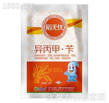 20%סS-on-hҊr(nng)I(y)