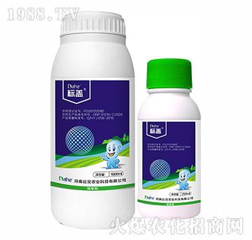 ̱Ƴ݄-Әw-hҊr(nng)I(y)