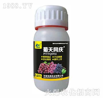 ͬc200ml-䌍(sh)I(y)