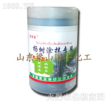 (sh)ͿĨ(zhun)÷-ɽ(gu)