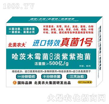 M(jn)Ч1̖(ho)-r(nng)