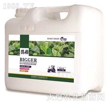 ɣø߷ӏͺЙCҺʣͰ-̸-ɭr(nng)I(y)