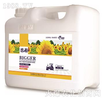 տø߷ӏͺЙCҺʣ5kg-̸-ɭr(nng)I(y)