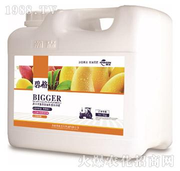 âø߷ӏͺЙCҺʣ5kg-̸-ɭr(nng)I(y)