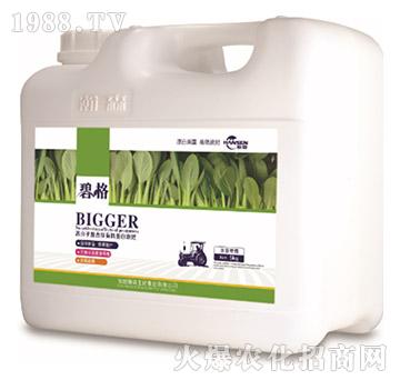 ~ˌø߷ӏͺЙCҺʣ5kg-̸-ɭr(nng)I(y)