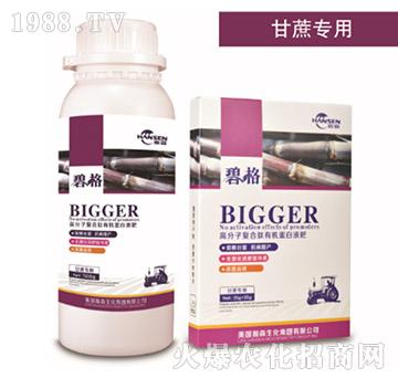 ጣø߷ӏͺЙCҺ-̸-ɭr(nng)I(y)